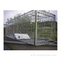 Fox Wild Boar Cage Pułapka na sprzedaż